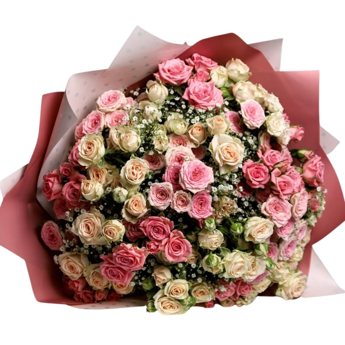Kytica Pinky
