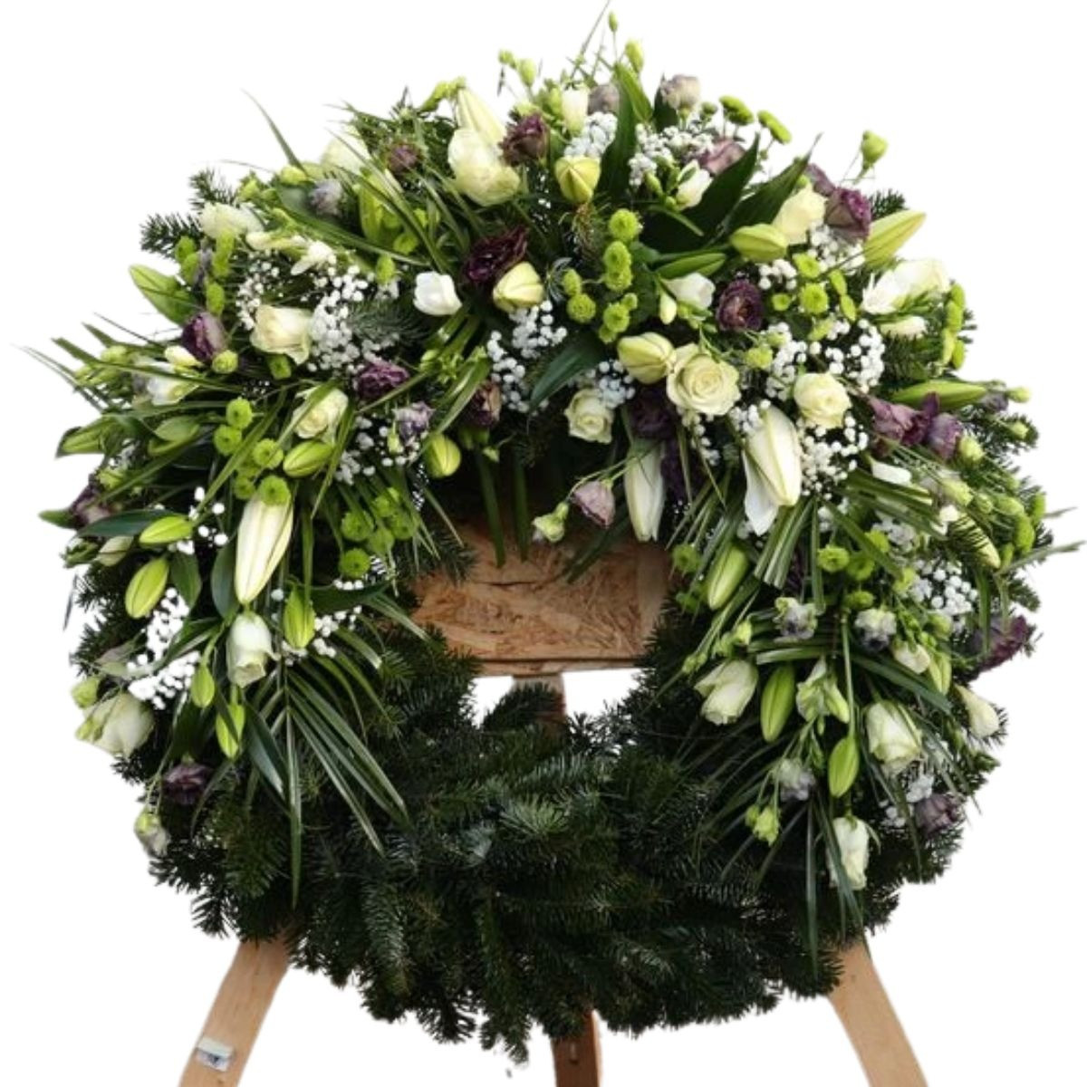 Veniec Sympathy elegant