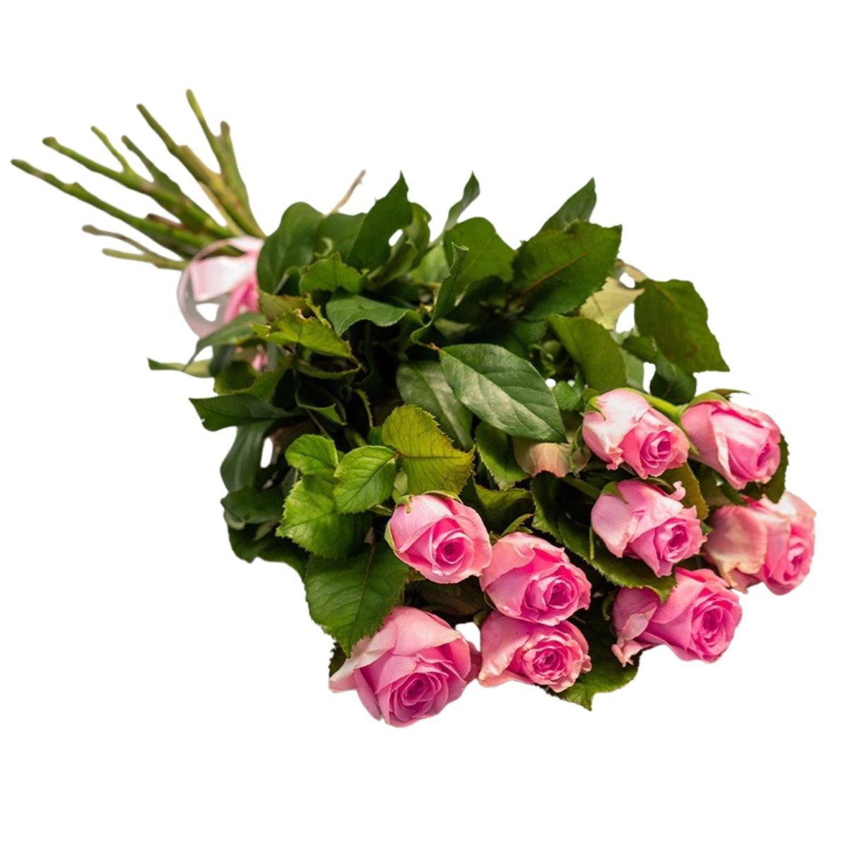Kytica "Sweet roses"